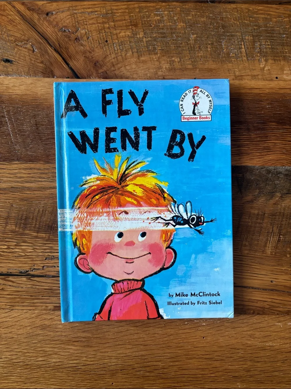 Dr. Seuss A Fly Went By Book - Blue, Yellow, Orange, Pink